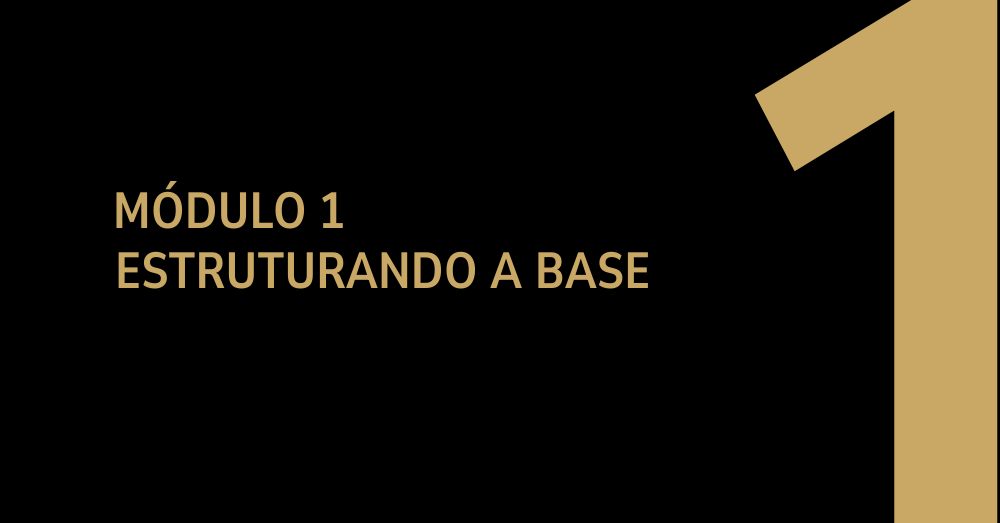 Estruturando a Base